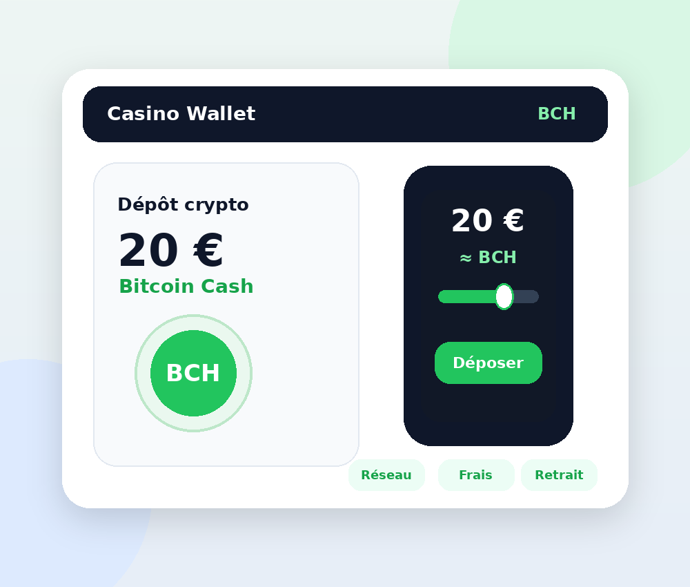 Bitcoin cash paiement
